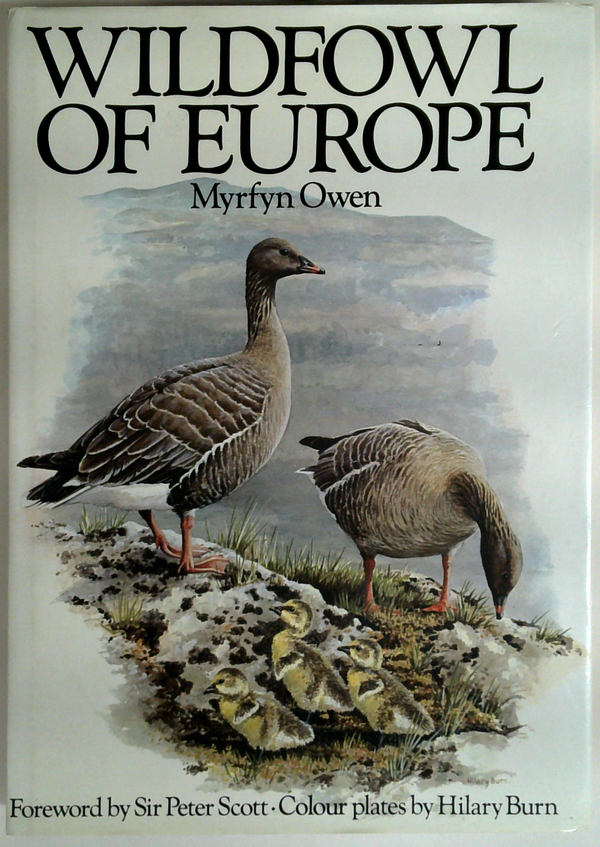 Wildfowl Of Europe