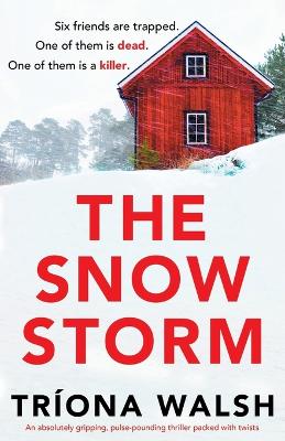 The Snowstorm: An absolutely gripping, pulse-pounding thriller packed