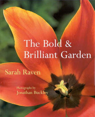 Bold and Brilliant Garden