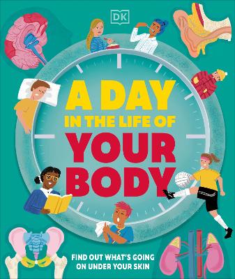 A Day in the Life of Your Body: Find Out What's Going on Under Your
