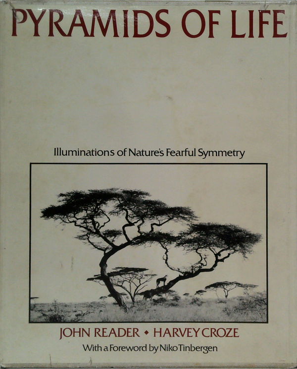 Pyramids Of Life: Illuminations Of Nature's Fearful Symmetry