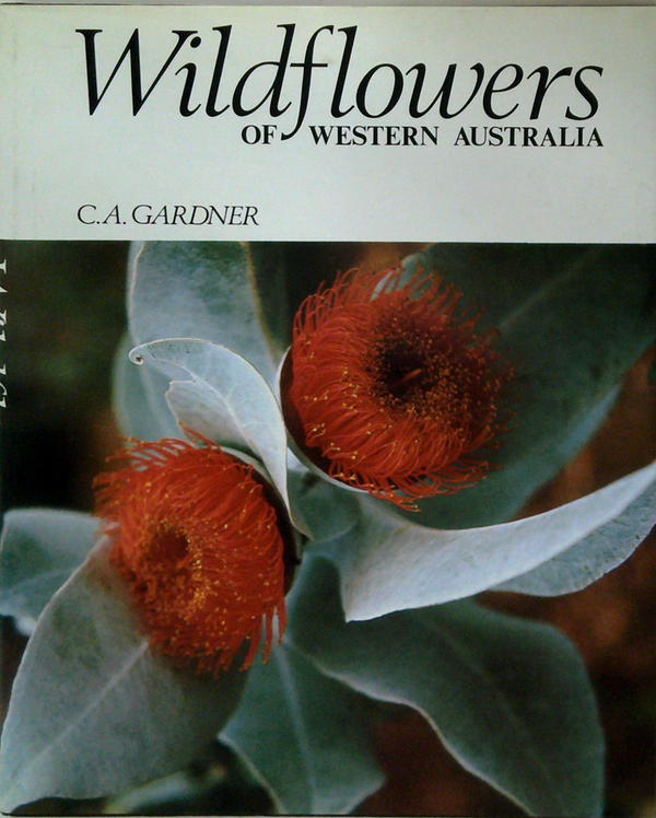 Wildflowers Of Western Australia