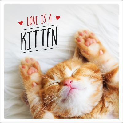 Love is a Kitten: A Cat-Tastic Celebration of the World's Cutest
