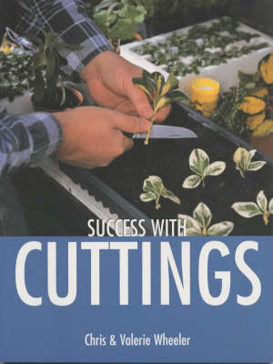 Success with Cuttings