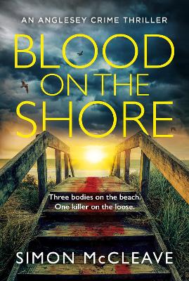 Blood on the Shore (The Anglesey Series, Book 3)