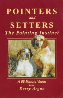 Pointers and Setters