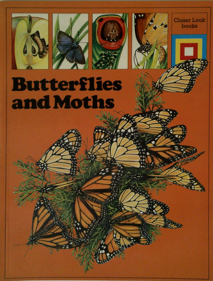 Butterflies And Moths