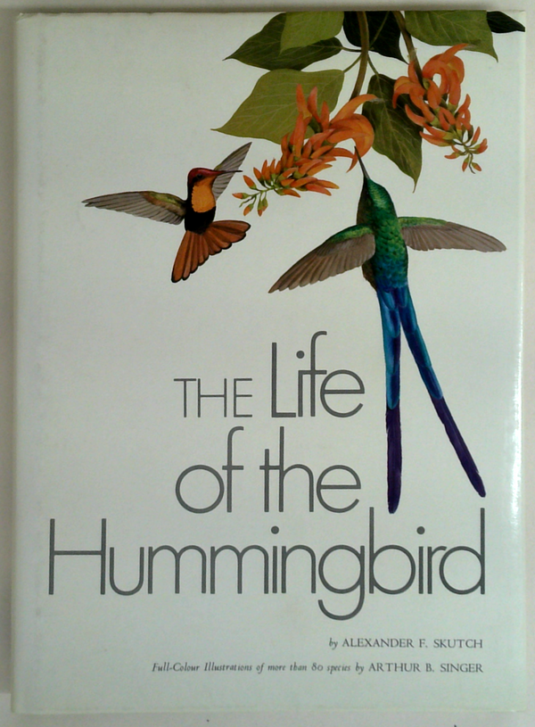 The Life Of The Hummingbird