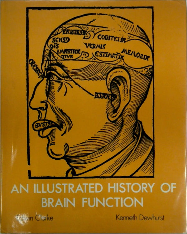 An Illustrated History of Brain Function