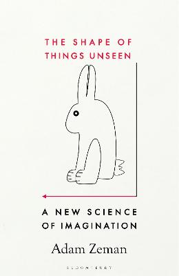 The Shape of Things Unseen: A New Science of Imagination