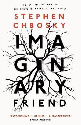 Imaginary Friend: The new novel from the author of The Perks Of Being