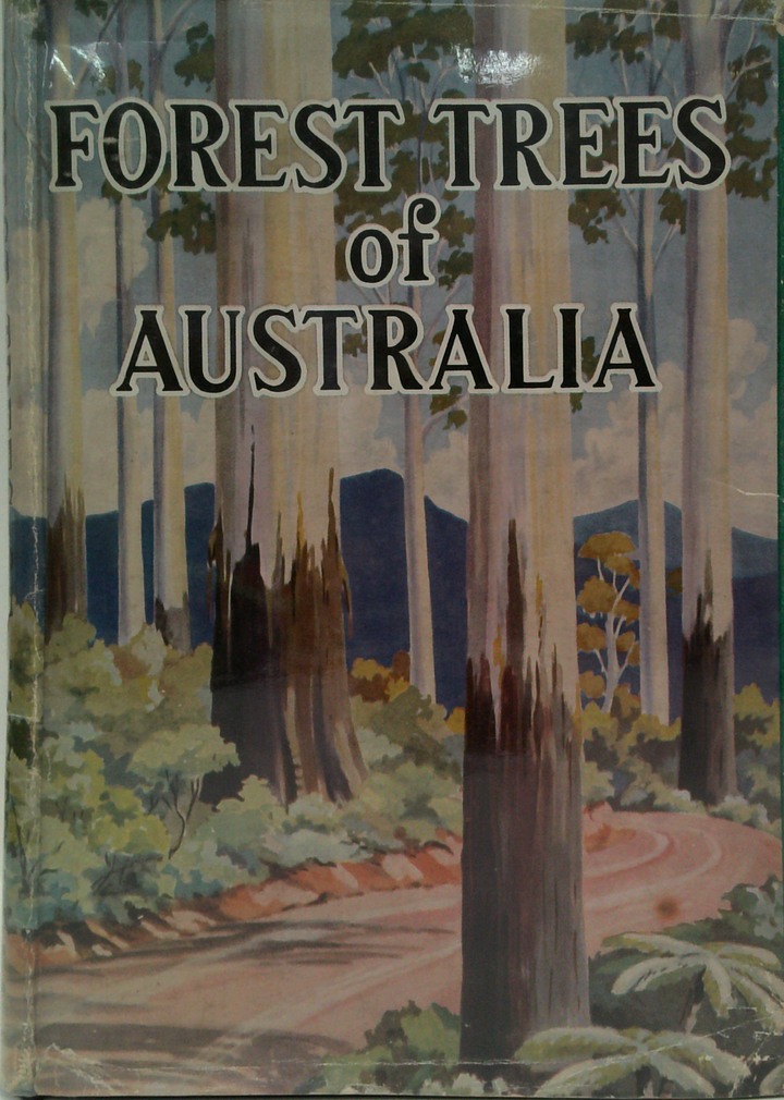 Forest Trees Of Australia