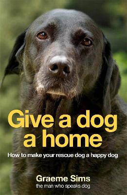 Give a Dog a Home: How to Make Your Rescue Dog a Happy Dog