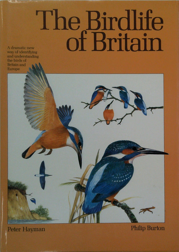 The Birdlife Of Britain