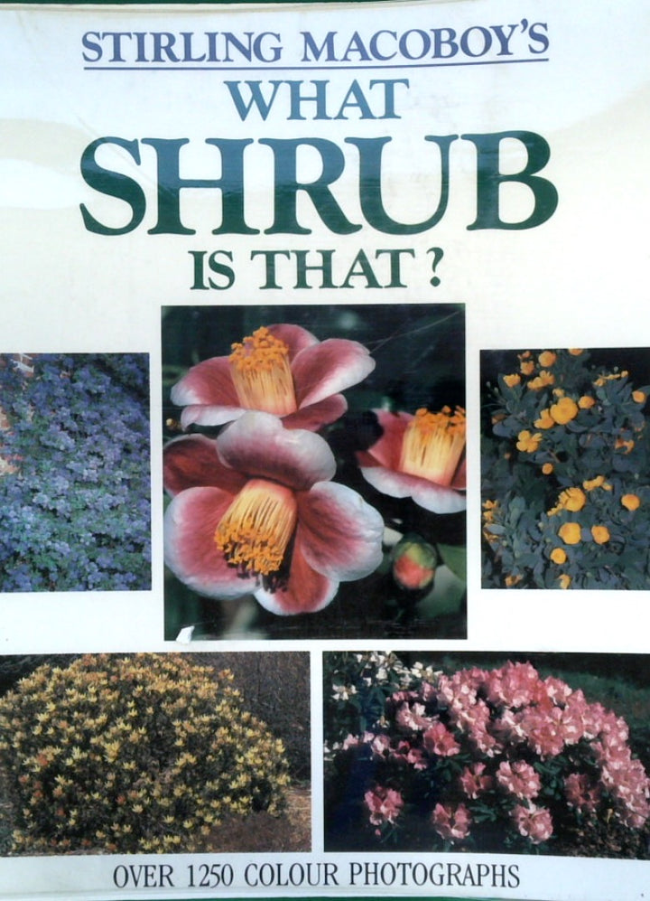 What Shrub Is That?