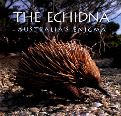 Echidna: Australia's Enigma