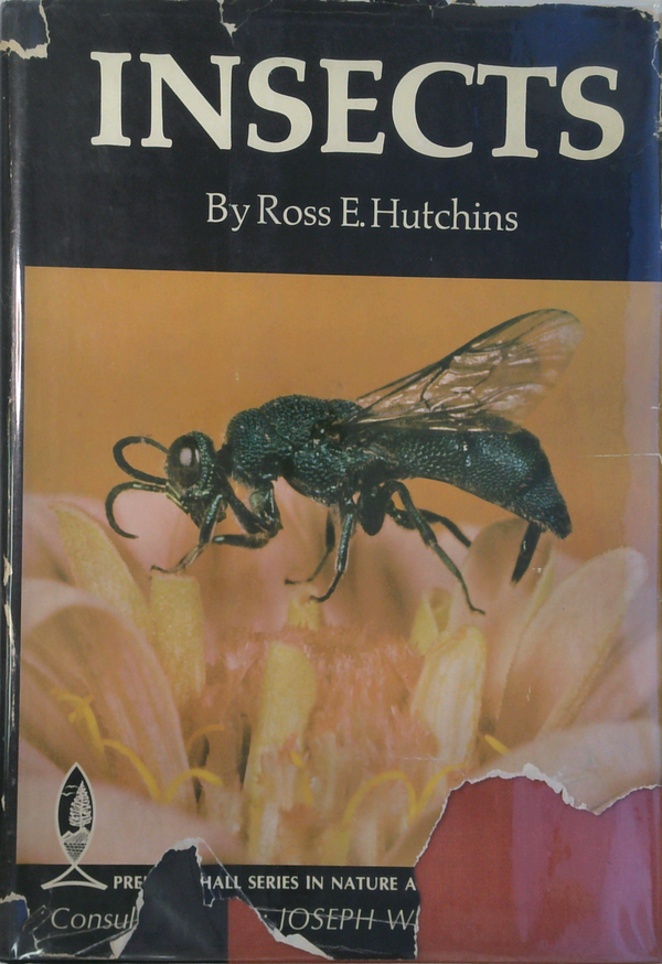 Insects
