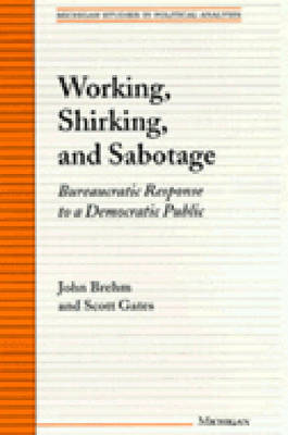 Working, Shirking, and Sabotage: Bureaucratic Response to a Democratic