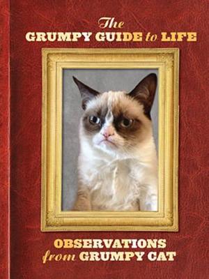 The Grumpy Guide to Life: Observations from Grumpy Cat