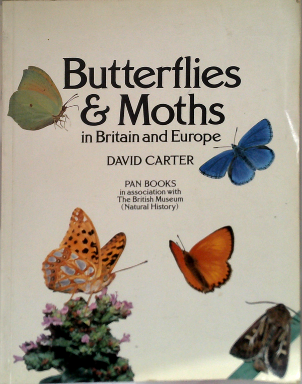 Butterflies & Moths In Britain And Europe