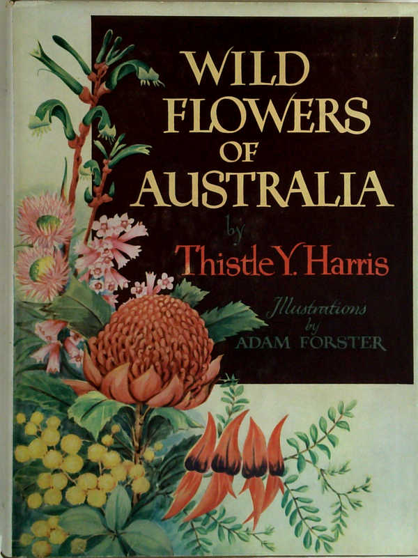 Wild Flowers Of Australia