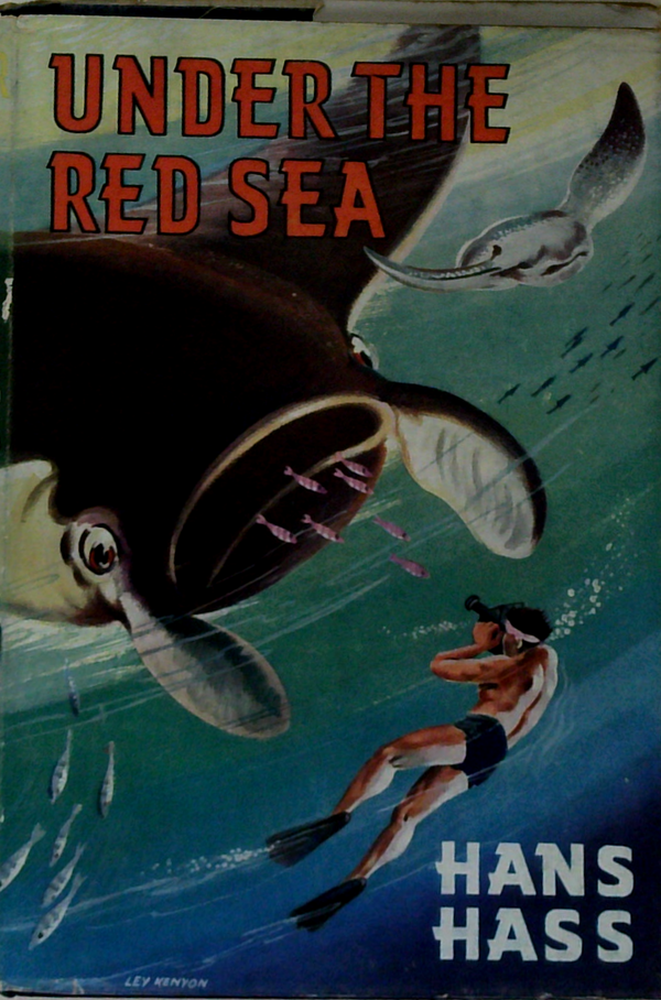 Under The Red Sea