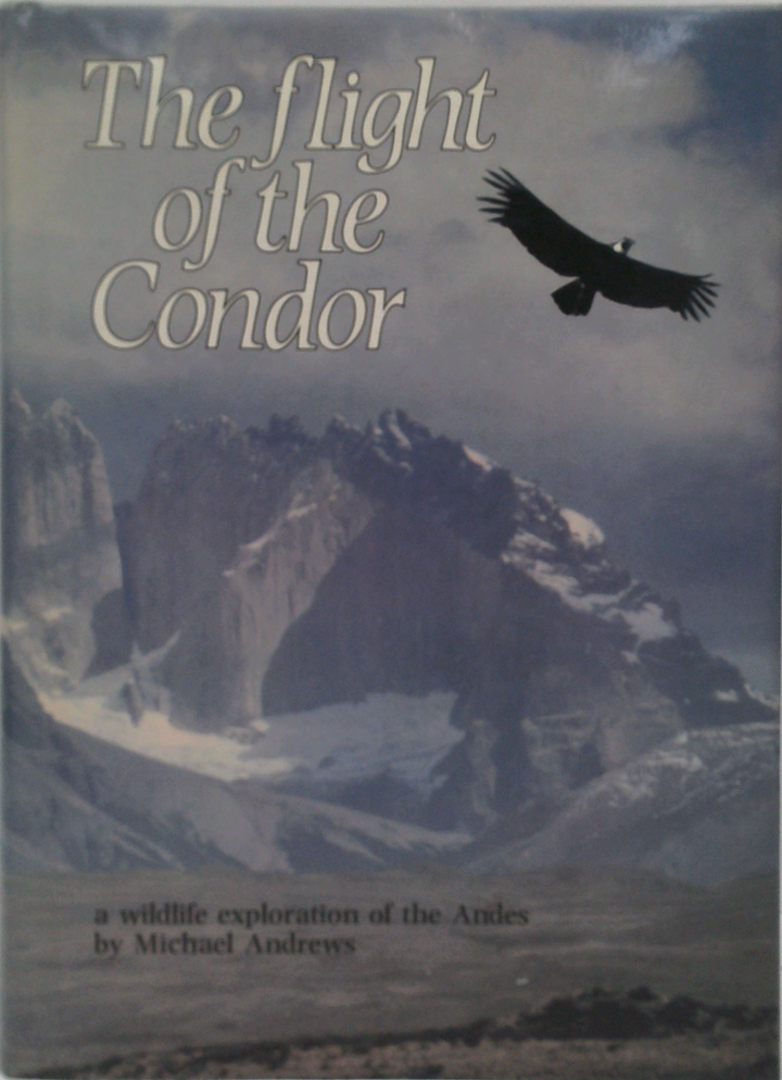 The Flight Of The Condor: A Wildlife Exploration Of The Andes