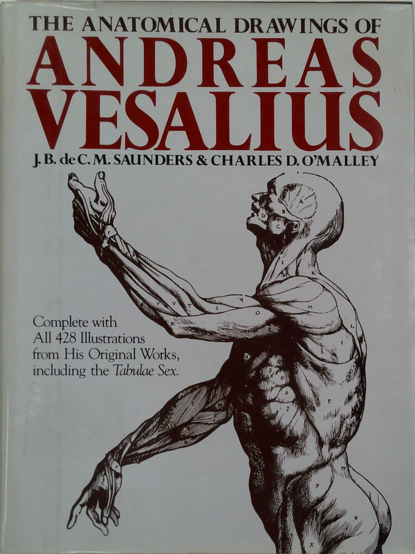 The Anatomical Drawings Of Andreas Vesalius