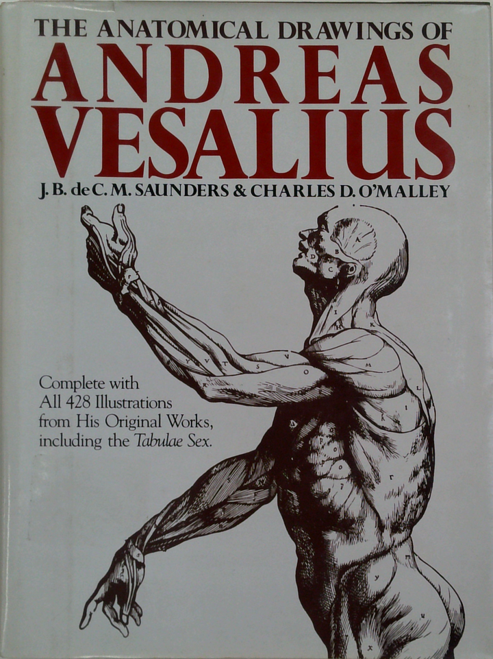 The Anatomical Drawings Of Andreas Vesalius