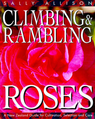 Climbing A Rambling Rose