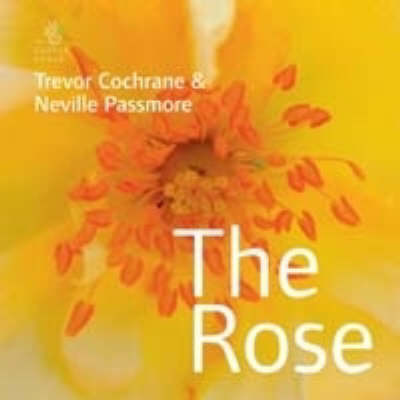 The Rose