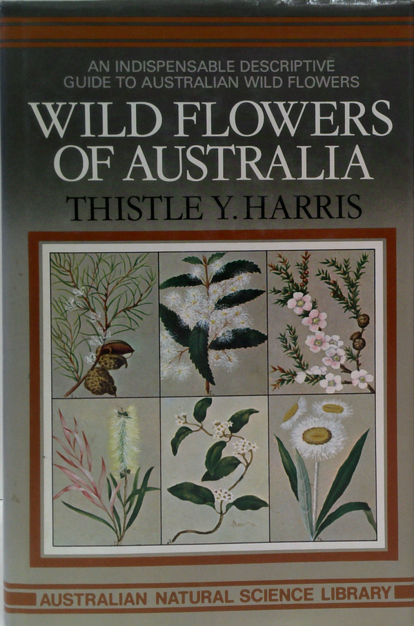 Wild Flowers Of Australia