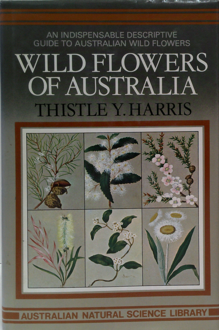 Wild Flowers Of Australia