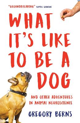What It's Like to Be a Dog: And Other Adventures in Animal