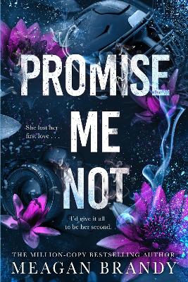Promise Me Not: The brand-new angsty slow-burn romance following