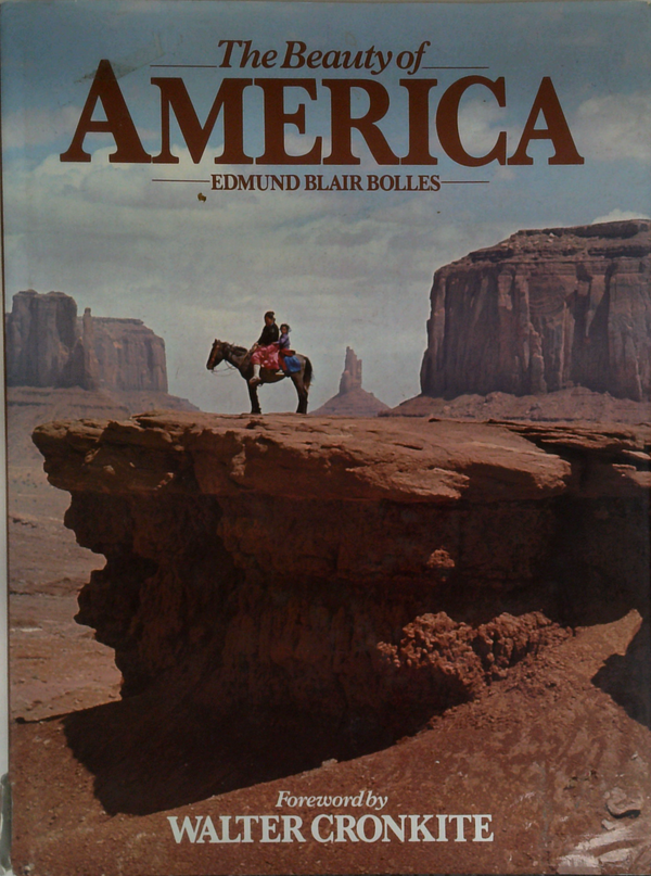 The Beauty Of America