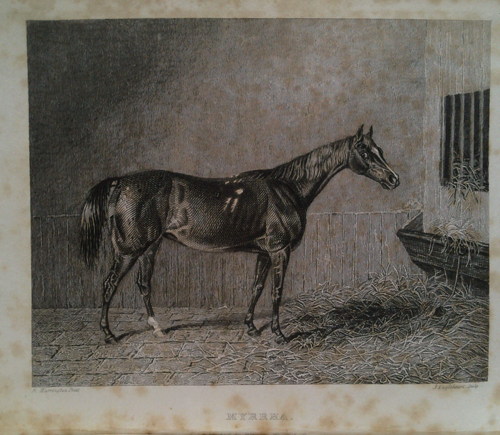 The Sporting Magazine, Or Monthly Calendar Of The Transactions Of The Turf, The Chase And Every Other Diversion Interesting To The Man Of Pleasure Enterprise & Sport Vol XIII Second Series Or Vol 88 Old Series