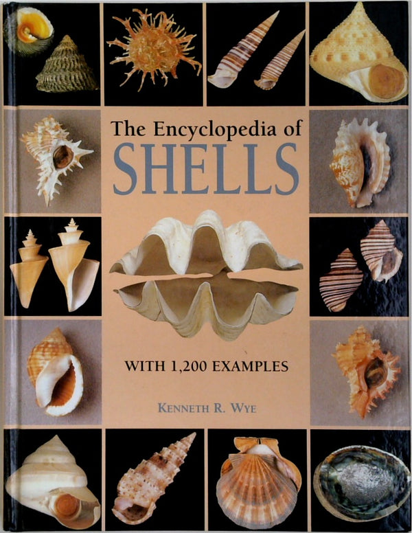 The Encyclopedia of Shells