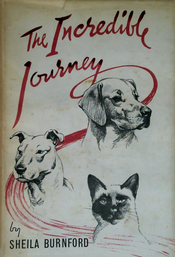 The Incredible Journey