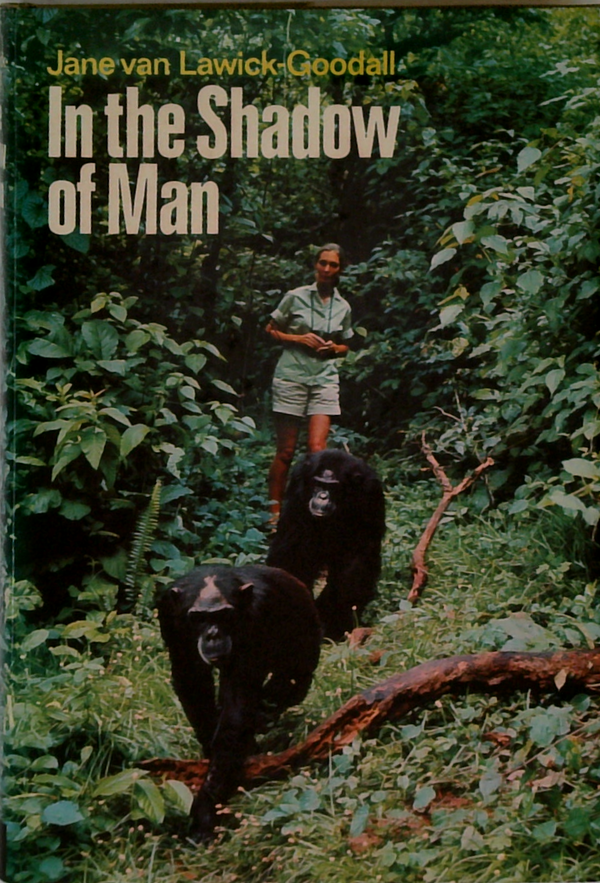 In The Shadow Of Man