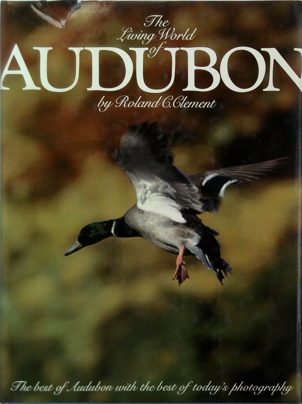The Living World Of Audubon