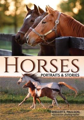 Horses: A Visual Essay