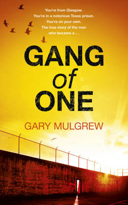 Gang of One: One Man's Incredible Battle to Find his Missing Daughter: