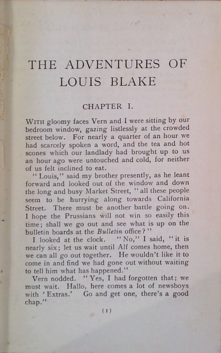 The Adventures Of Louis Blake – Book Grocer