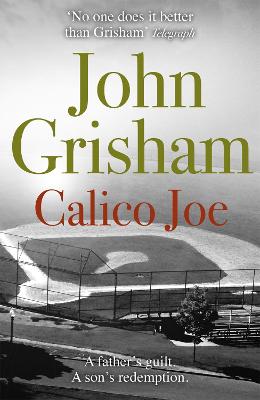 Calico Joe: An unforgettable novel about childhood, family, conflict and guilt, and forgiveness