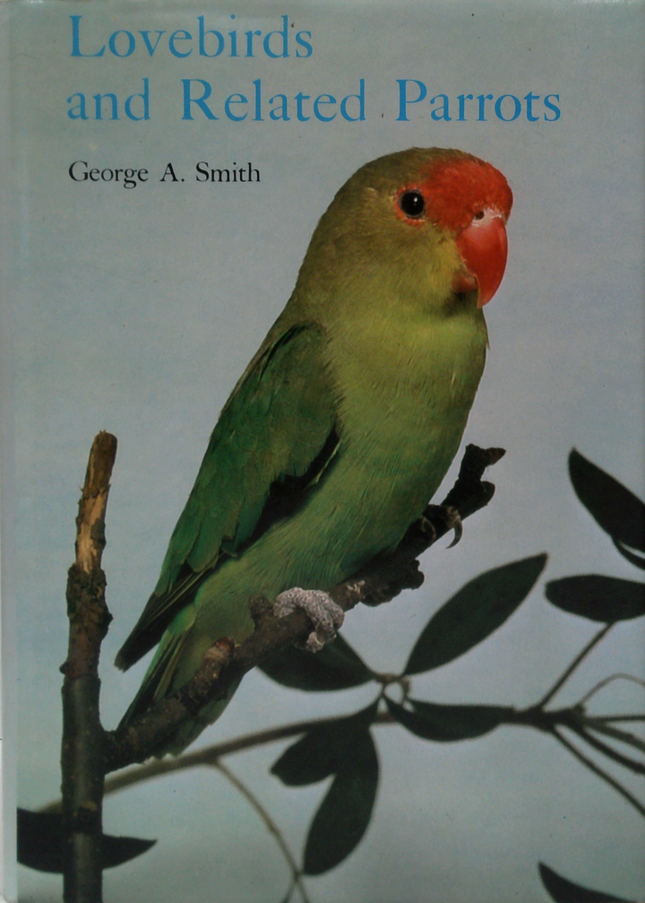 Lovebirds And Related Parrots