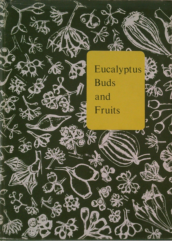 Eucalyptus Buds And Fruits