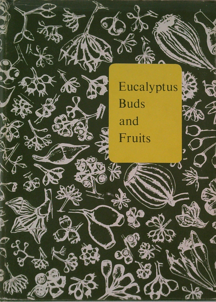 Eucalyptus Buds And Fruits