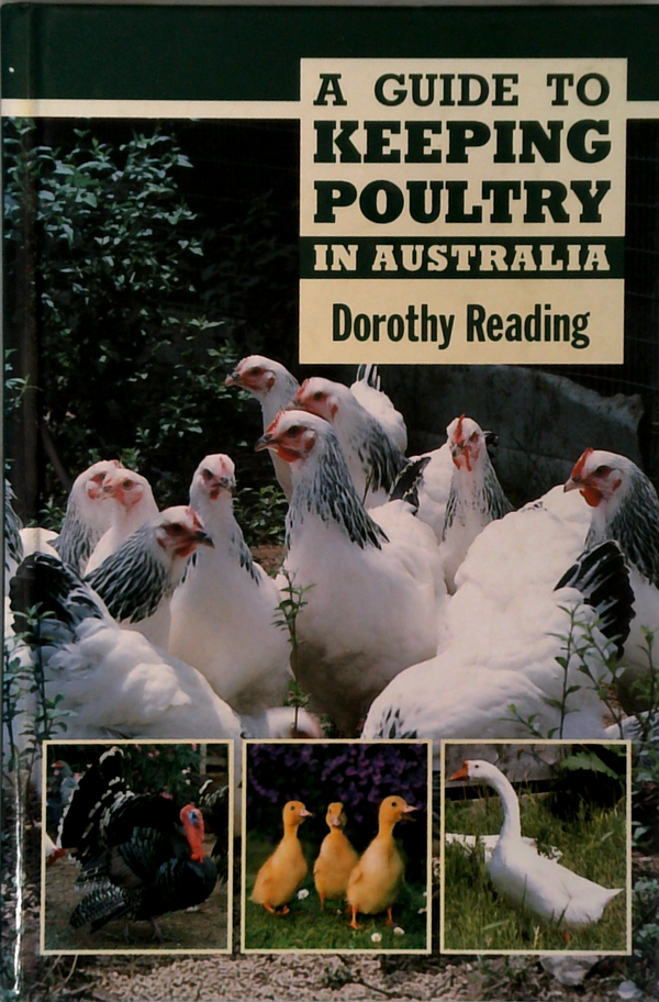 A Guide To Keeping Poultry In Australia