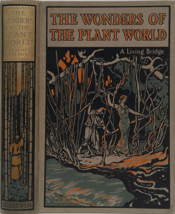 The Wonders Of The Plant World